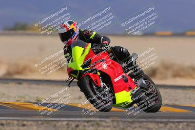 media/Nov-05-2022-SoCal Trackdays (Sat) [[f8d9b725ab]]/Turn 4 Tree of Life (125pm)/